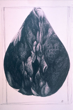 Rosebud