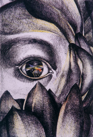 Vision Through the Lotus Flower