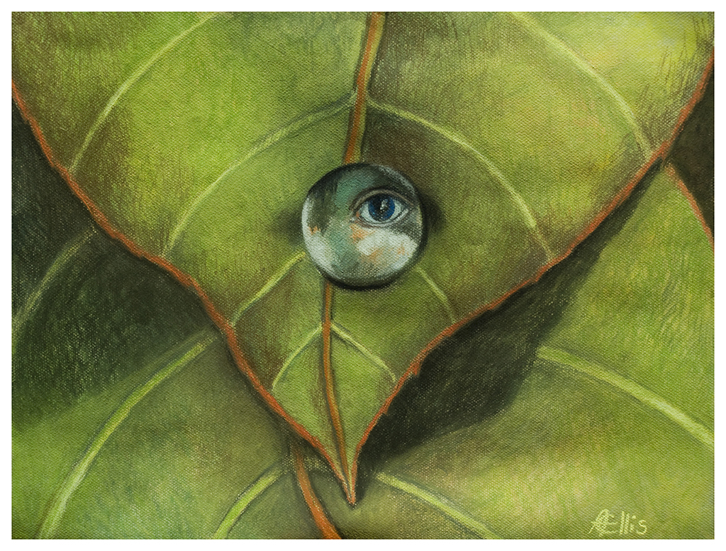Drop of Water