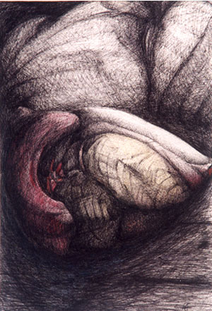 Rosebuds