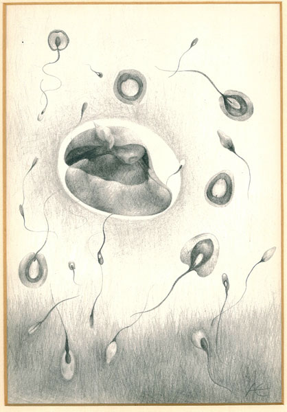 Fecundity
