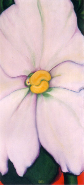 White Violet