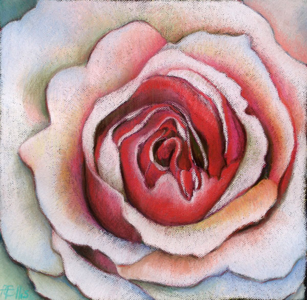 Pink Rose II