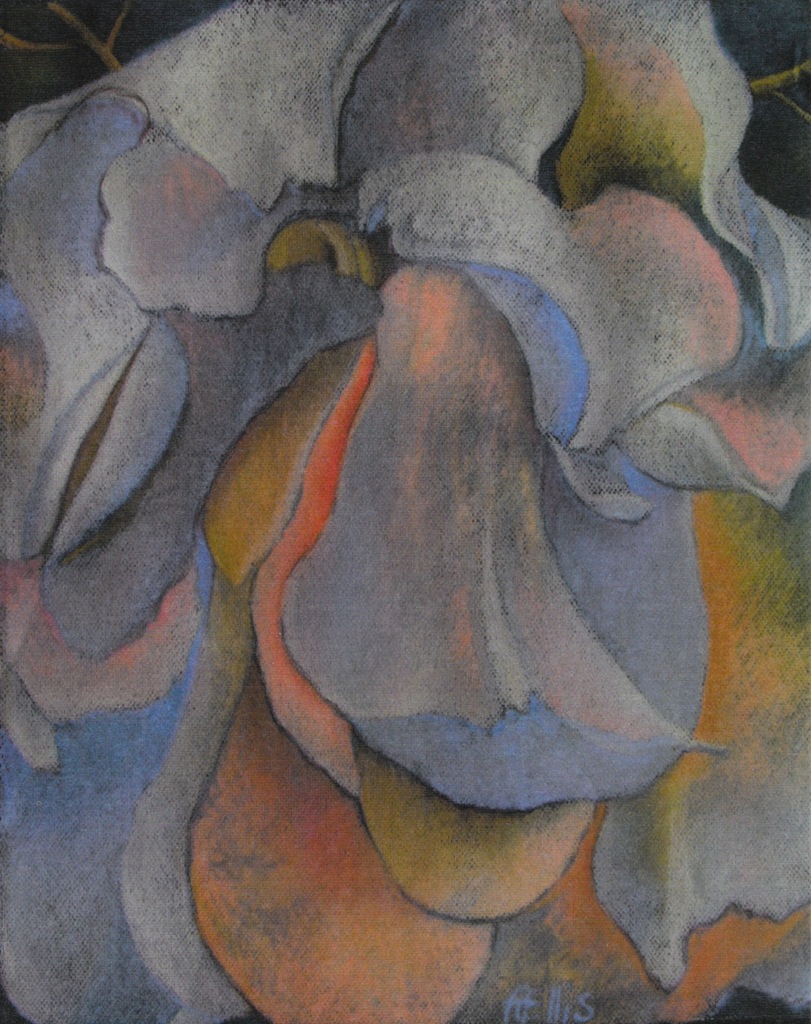 Pastel Rose