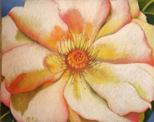 Yellow Rose II