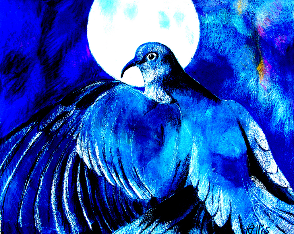 The Dove